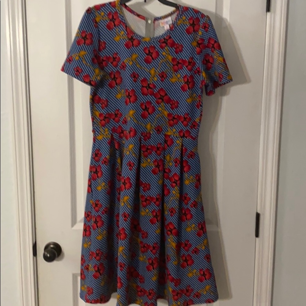 LuLaRoe dress